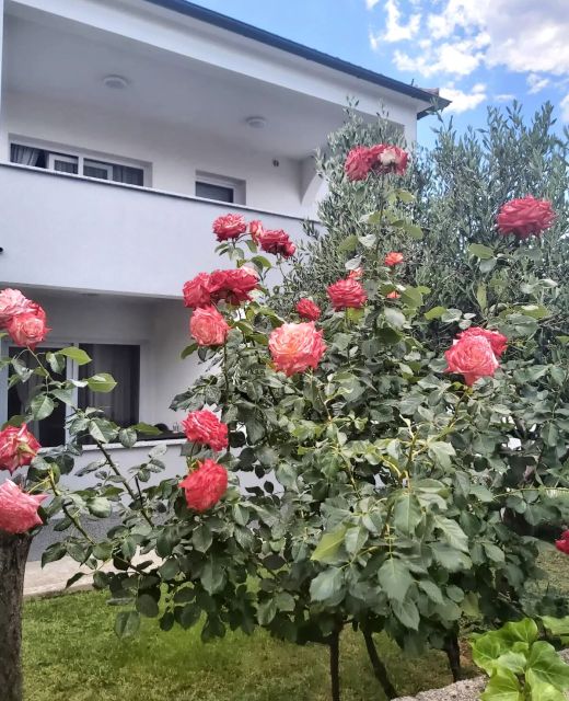 Apartment Rose Garden Vodice