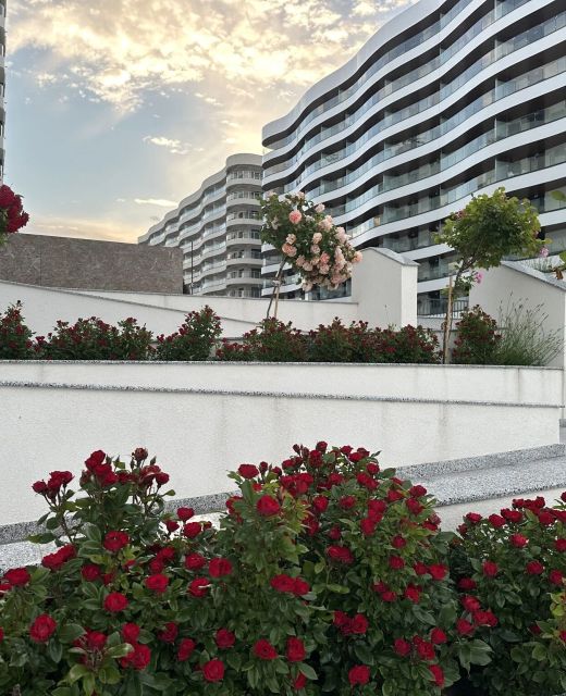 Apartament Rue Seaside Studio Năvodari