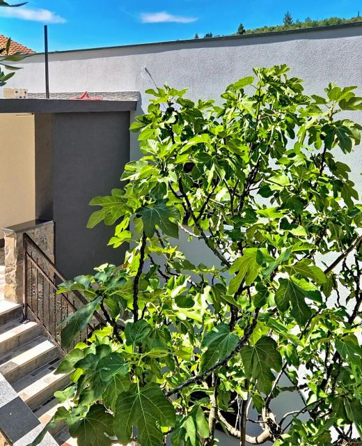 Apartman Obrovac - CDY483