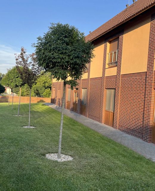 Nagy-Szemes Vendégház Villány
