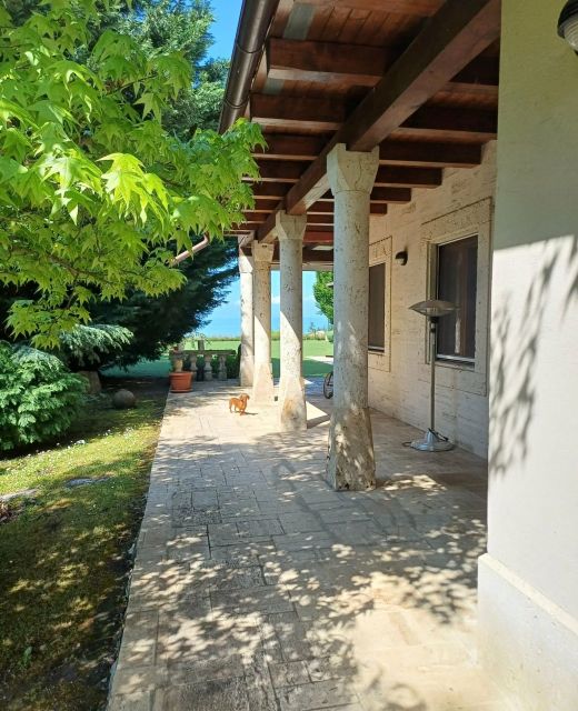 SirályLak Vendégház Balatonakarattya