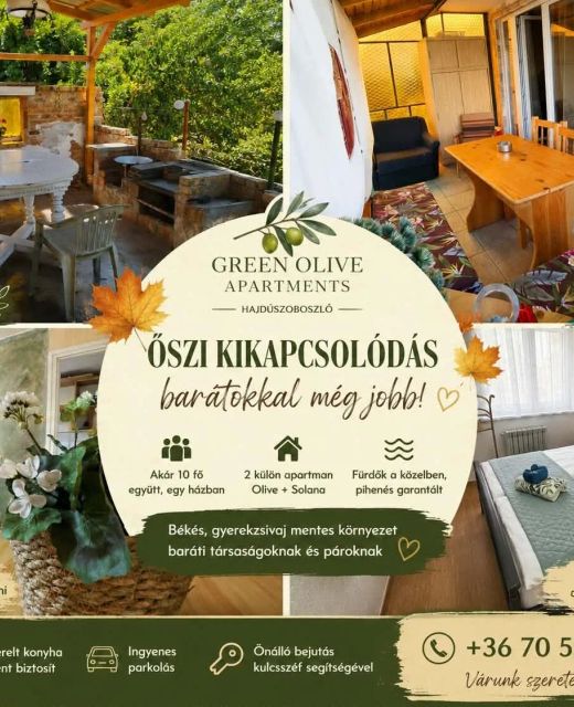 Green Olive Apartments Hajdúszoboszló