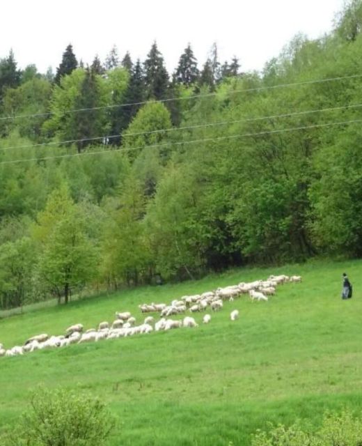 Pokoje W Górskim  Zaciszu Muszyna