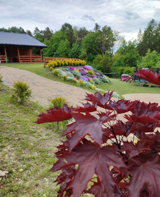 Roztocze, Domek na leśnym wzgórzu Adamów