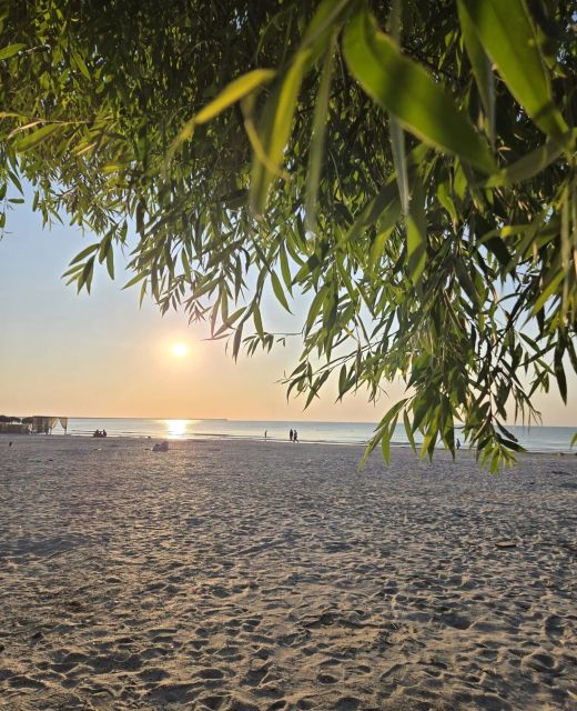 Apartament Your Escape To The Beach Năvodari