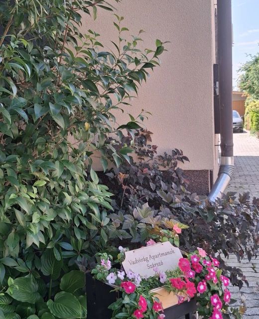 Vadvirág Apartmanok Szárszó
