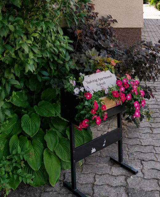 Vadvirág Apartmanok Szárszó