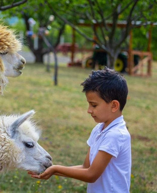 Sofia Szeretet Farm és Vendégház Pásztó