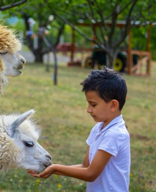 Sofia Szeretet Farm és Vendégház Pásztó