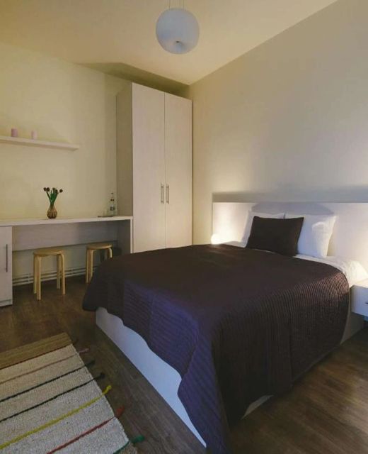 Camelia's Cozy Place Baia Mare