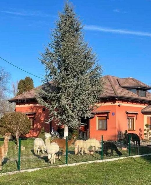 Family Friendly House With A Swimming Pool Andrijaševci, Slavonija - 24939 Andrijaševci