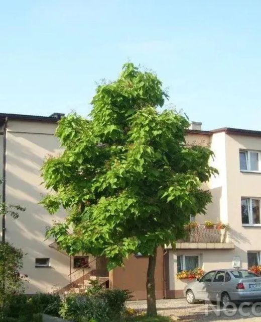 Hostel Ciepły Kąt Kraków