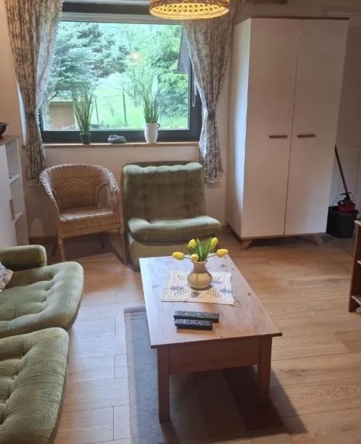 Apartamenty Kudowski Potok Kudowa-Zdrój