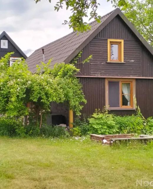 Konik Polny Białowieża