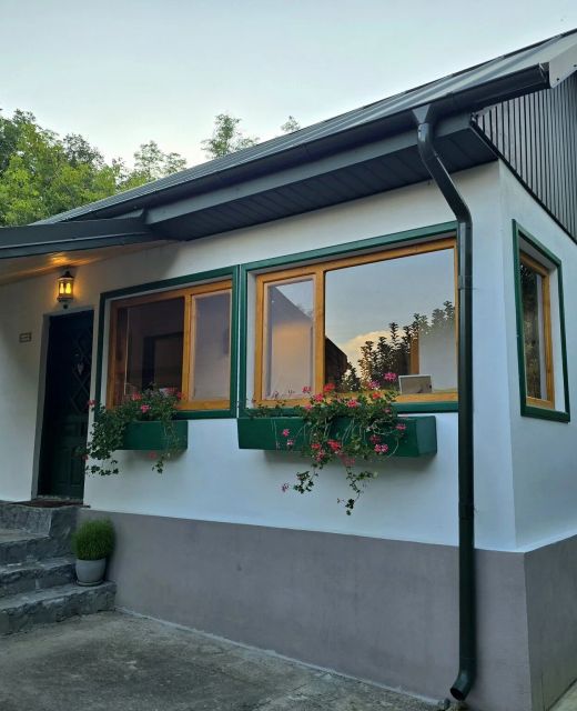 Casa Vintila Green Retreat Petrăchești