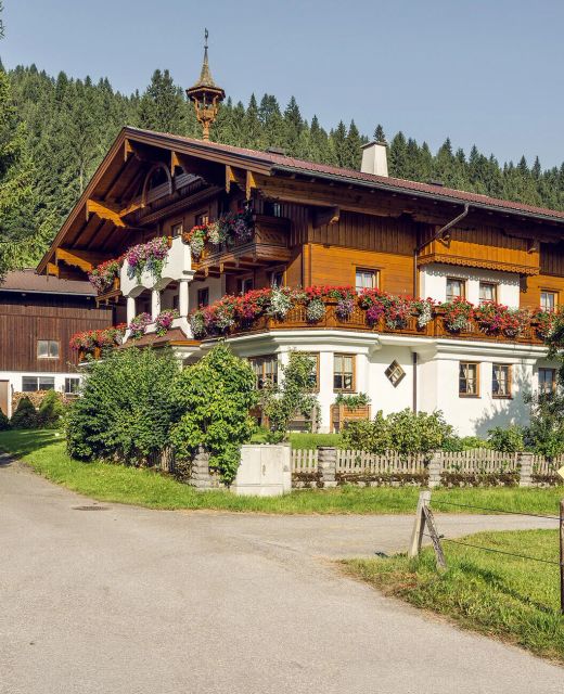 Apartman Flachau - ASA486