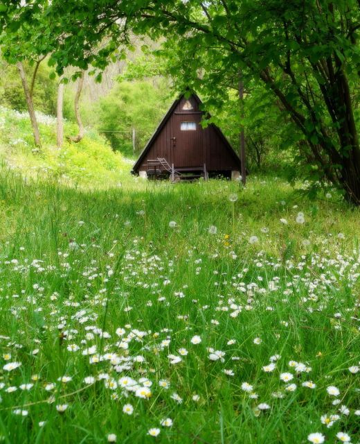 Vár Camping Sirok