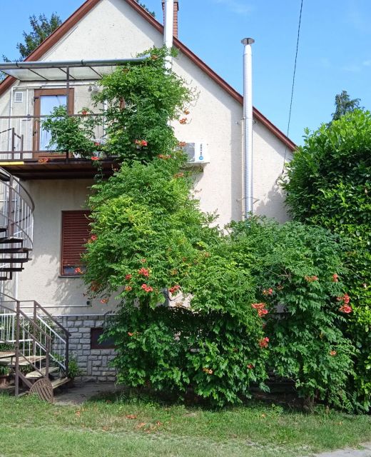 Manyi Apartman Fonyód