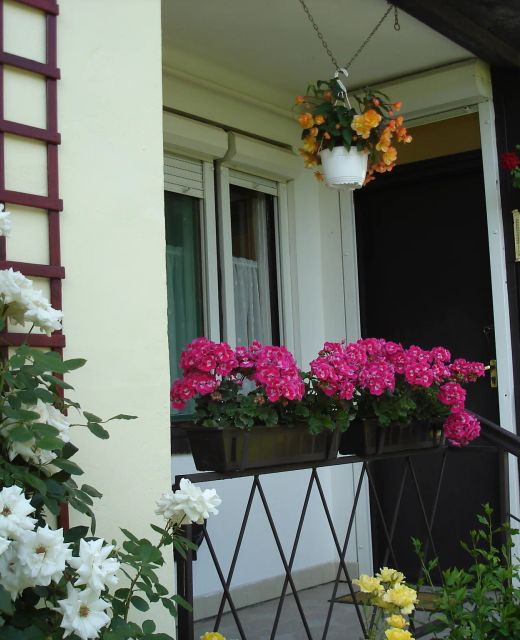 Liza Apartman Gyula