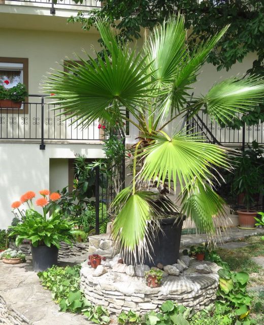 Kővirág Apartman Hévíz