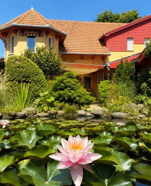 Green Park Villa Eger