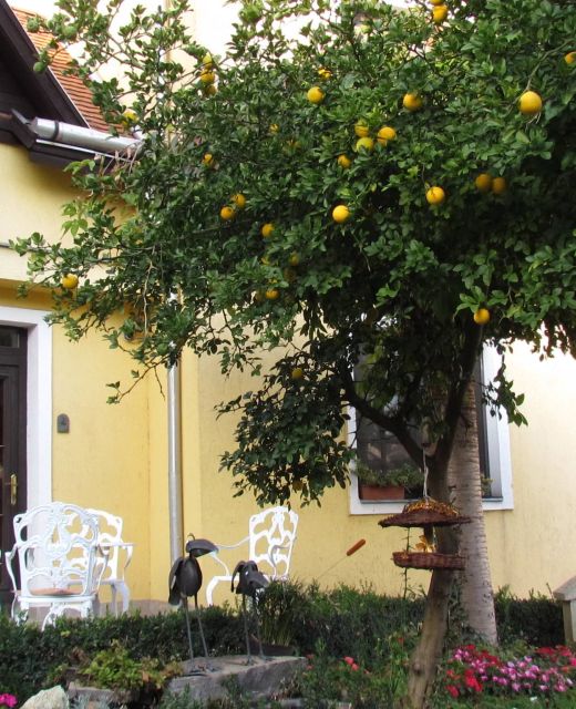 Torkolat Panzió Tokaj