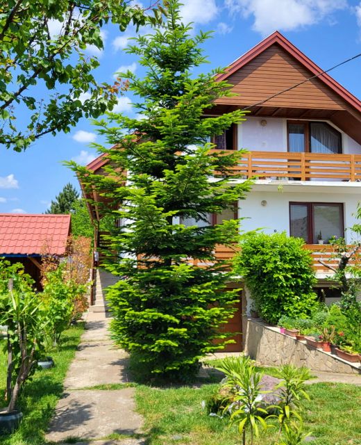 Ibolya Apartman Gyenesdiás