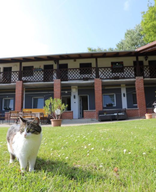 Danubius Üdülőház Zamárdi