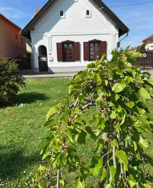 Tulipános Vendégház Fertőszentmiklós