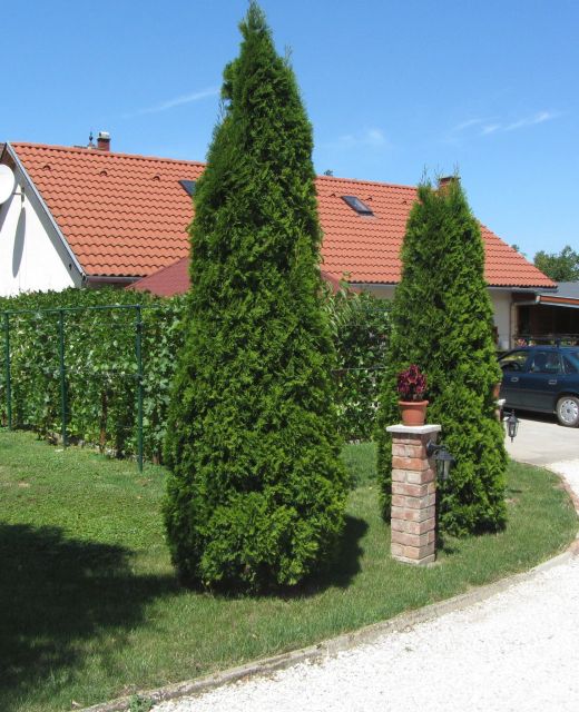 Meni Apartmanház Balatonföldvár