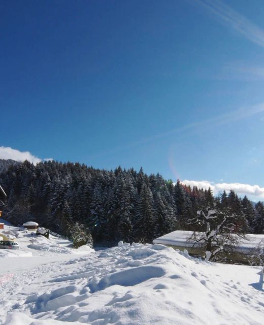 Alpenpension Unterschlag Annaberg im Lammertal