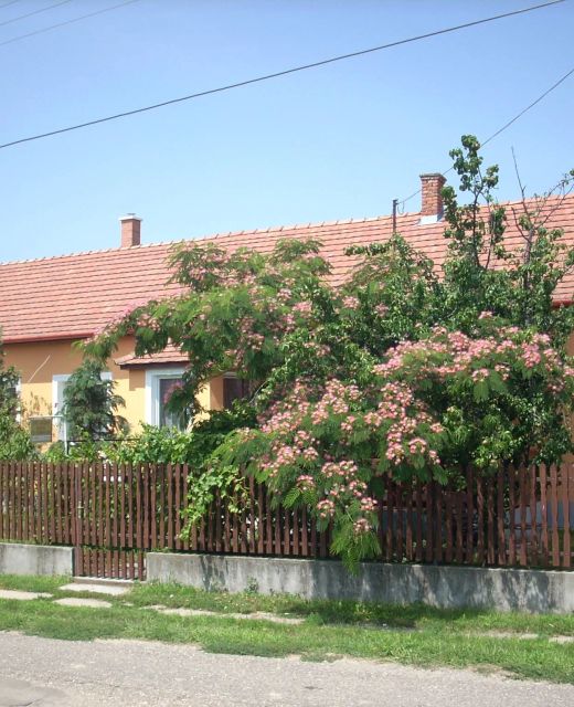 Abádi Karmazsin Ház Abádszalók