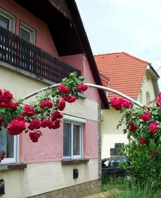 Panni Néni Apartman Balatonboglár