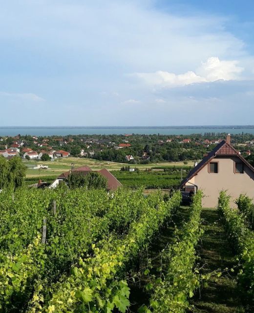 Lekics Pince és Vendégház Balatongyörök