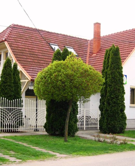 Mandala Vendégház Kiskunmajsa