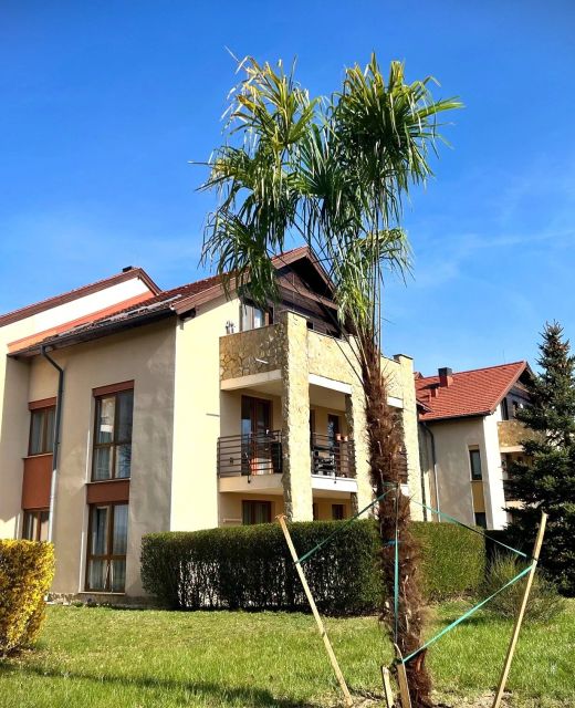 Golf Villa Apartman Bükfürdő