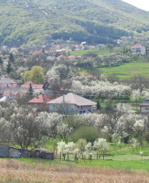 Papréte Vendégház Mályinka