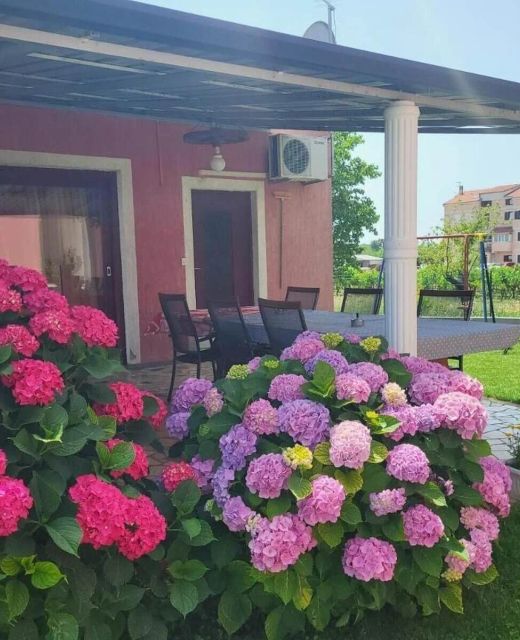 Apartmani Dragica Poreč