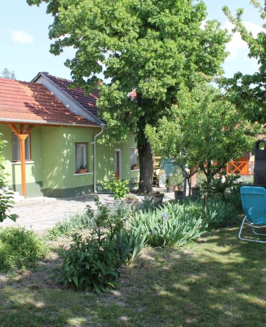 Homoky Család Pincészete és Vendégháza Tállya