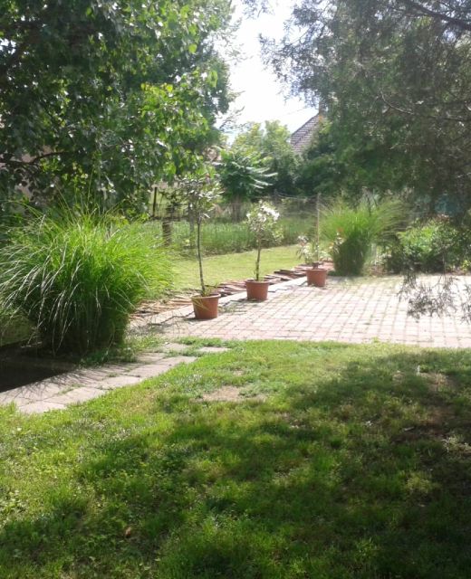 Boróka Apartman Sarud
