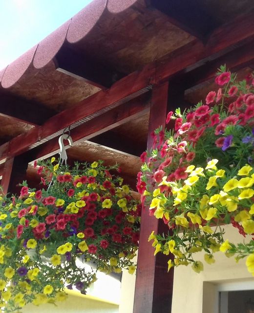Apartament Judith Turda