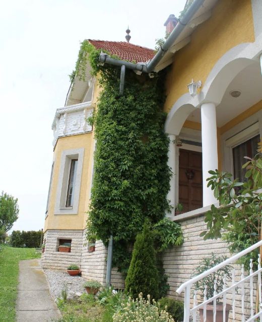 Vadszőlő Vendégház Vonyarcvashegy