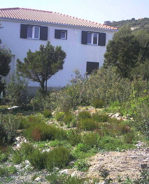 Villa Ruza Vis