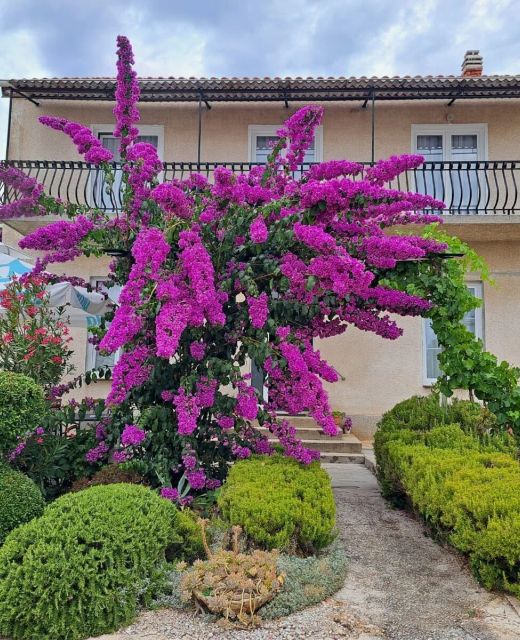 Apartman Zorić Biograd na Moru