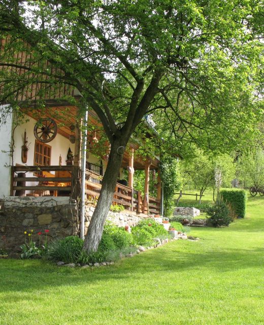 Casa Rustică Stoenești