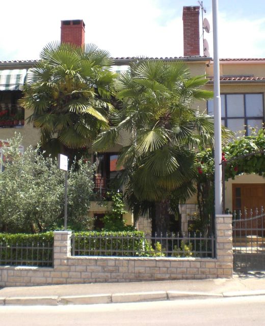 Apartments Boris Poreč