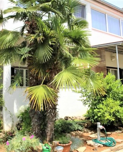 Apartmani Zdravka Vodice