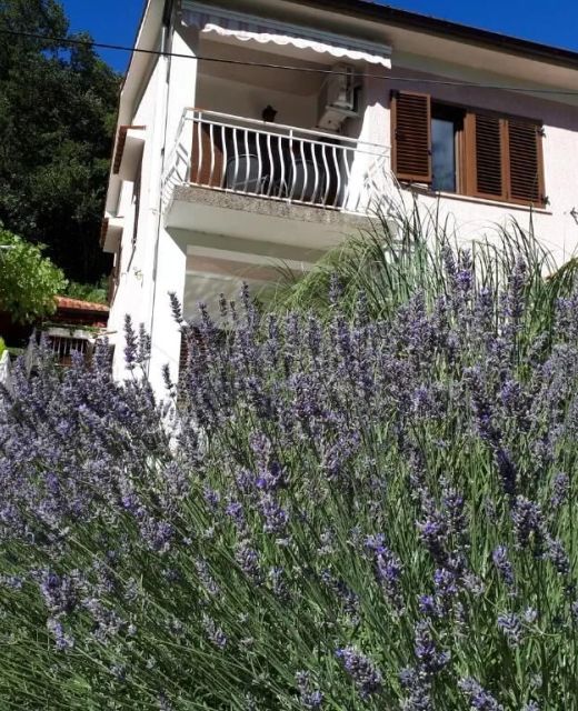 Apartman-Sobe Mikleus Mošćenička Draga