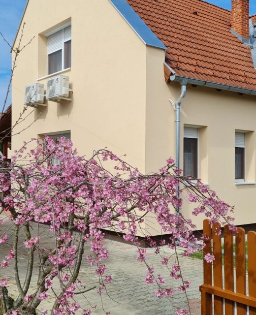 Anna Villa Lenti