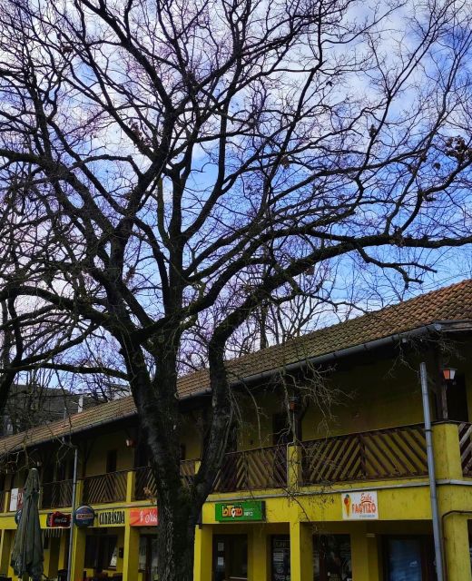 Kastélypark Fürdő Panzió Füzesgyarmat